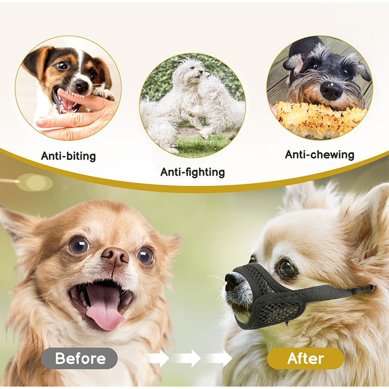 Mesh-mondkapje voor korte snui - Pet Supplies Coupon recensie en prijs