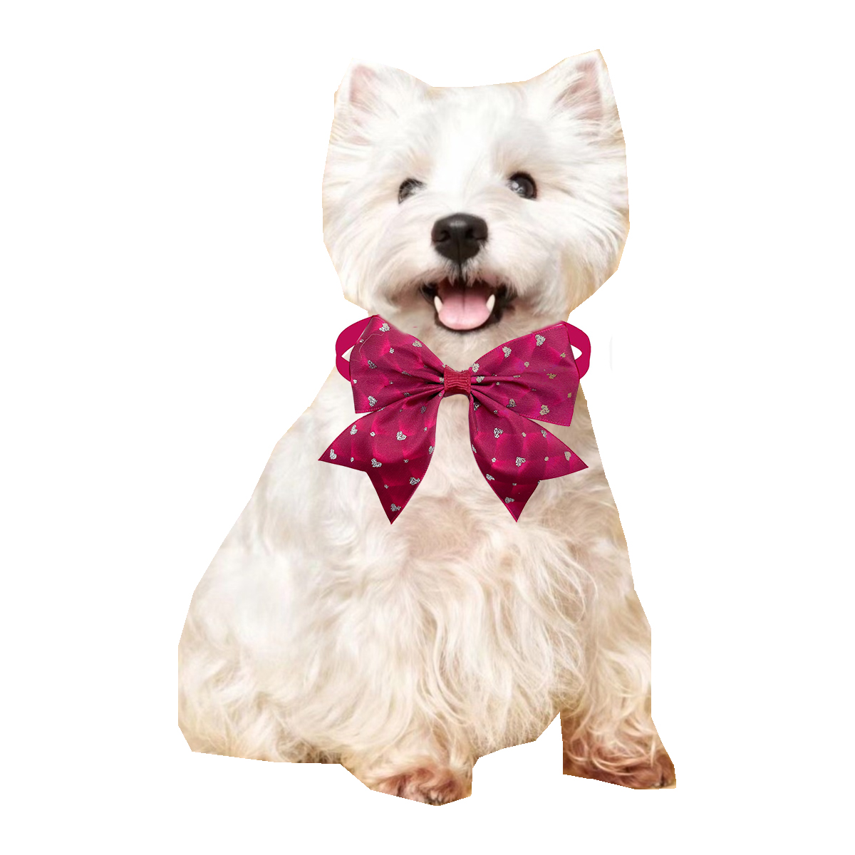50/100Pcs Hond Vlinderdas Lief - Pet Supplies Coupon recensie en prijs