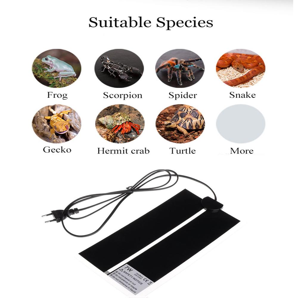 AC110V ~ 240V Reptielen Incuba - Reptile Heating Mat recensie en prijs