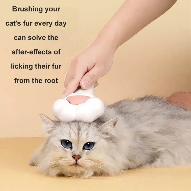 Leuke kattenpoot-verzorgingsbo - Pet Supplies Dropshipping recensie en prijs