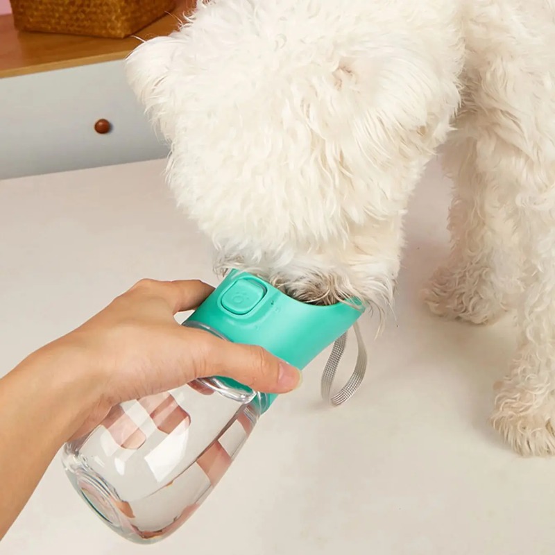 Draagbare grote hondenwaterfle - Pet Supplies Coupon recensie en prijs